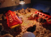 Cortinex quail chicks for sale