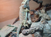 Bearded dragon with setup