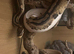 2 ball/royal pythons