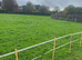 Grass livery available L40 Ormskirk