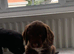 READY NOW KC reg amazing litter READY NOW