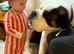 St Bernard