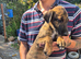 Lurcher pups