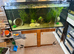 240l tank and stand