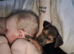 Puppy for sale