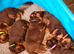 Liver German Shepherd puppies
