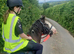 Genuine 4yo Traditional Cob Gelding | Ride & Drive | Bombproof in Traffic | Family Type | &pound;2,500 ONO