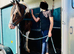 14.1hh Allround Family Mare