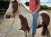 12’2 - 6yo - gypsy cob mare