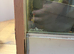 3ft Vivarium