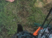 Pomapoo x Toy Poodle 1 girl left