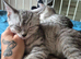Beautiful brothers