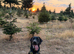 Highly trained 8 month old kc registered puppy