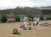 14.2 Super fun SJ/XC/PC pony.