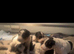 Wire Hired Fox Terrier puppies for sale