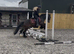 Bracken 13’3/14hh 4 year old Cob