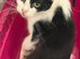 Beautiful girl called Delilah for new home