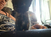 Beautiful kittens
