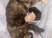 Kittens for forever home