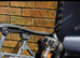 Biscuit 10 month old mini dachshund