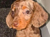 Beautiful girl ready to go