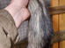 Silver mitt jill (unique) 14month old