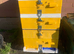 Bee hive with bees