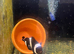 My salt water central marine system