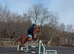 15.1hh all rounder