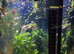 Fish tank for sale