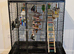 Large parrot cage for sale