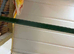 Proven breeding pair off rosellas