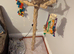 Large java tree parrot stand few months old