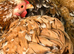 Millefleur Pekin Bantam Trio