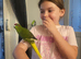 Kakariki young