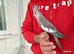 Super silly hand tamed baby cockatiels