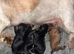 2 beautiful girls left