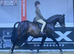 Pony club school master Royal anise