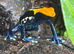 Bio active Dart frog terrarium full set up