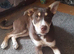 Beautiful Rare Girl Ready Now