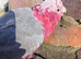Pink fluff Galah