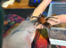 Bumba Horrida