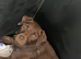 Patterdale terrier pups