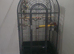 Popular Liberta open-top parrot cages available in the UK include the medium-sized Liberta Voyager Open Top Parrot Cage and the larger Liberta Enterpr