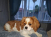 Hugo 3 years old