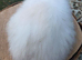 Super fluffy girls ready to go now teddywidders