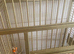Large gold parrot cage
