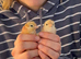 6 Buff Orpington Hatching Eggs