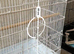 Cages tall good for small and big birds