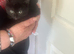 3 black kittens